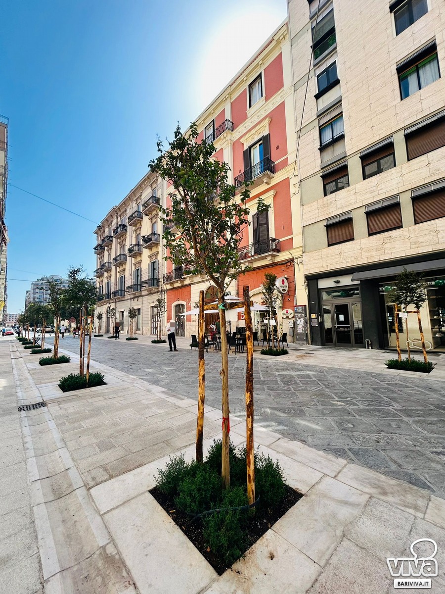 Via Argiro