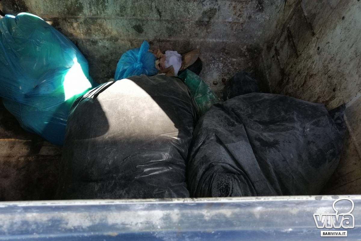 Abbandono rifiuti a Bari