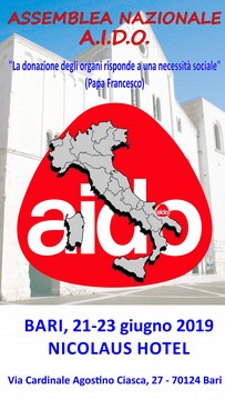 assemblea aido