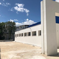 palestra scuola levi montalcini