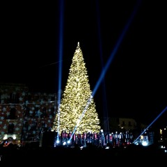 L'albero di Natale in piazza Ferrarese