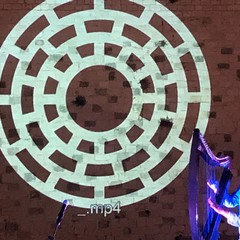 Il fotoracconto delle "Arene culturali"