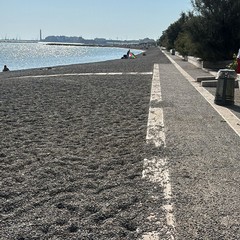 completati gli interventi di manutenzione delle spiagge libere di Fesca San Girolamo e Palese San Girolamo