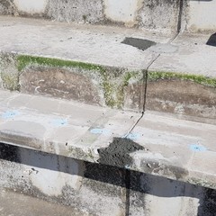 proseguono i lavori per la sostituzione del seggiolini nella tribuna est superiore al San Nicola