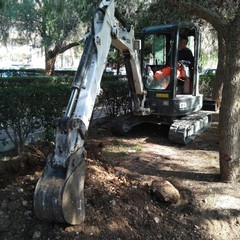 nuova pubblica illuminazione in tutti i Municipi lavori giardino Amprino