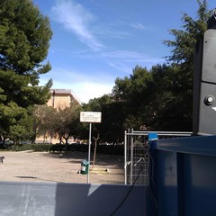 nuova pubblica illuminazione in tutti i Municipi lavori giardino Amprino