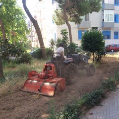 sopralluogo ass Galasso luoghi vari palazzine viale Japigia