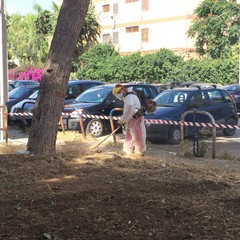 sopralluogo ass Galasso luoghi vari palazzine viale Japigia