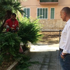 sopralluogo ass Galasso luoghi vari palazzine viale Japigia