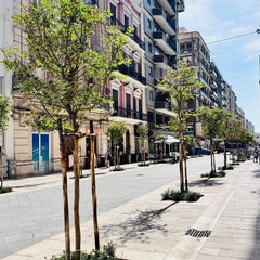 via Argiro