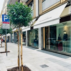 via Argiro oleandri incroci
