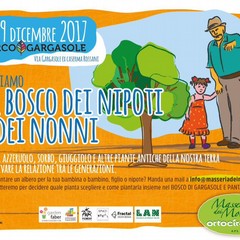 Bosco dei nonni e nipoti