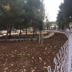 pronto per la primavera il giardino di via Carrante a Poggiofranco stamattina sopralluogo