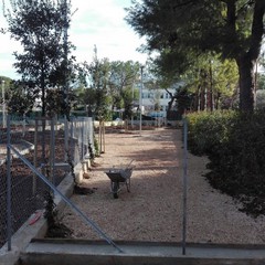 pronto per la primavera il giardino di via Carrante a Poggiofranco stamattina sopralluogo