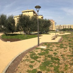 Sopralluogo parco Braille