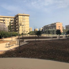 Sopralluogo parco Braille
