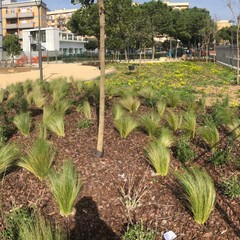 Sopralluogo parco Braille