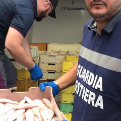 Pesce sequestrato e donato a InConTra