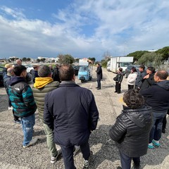 dal marzo trasferimento del mercato settimanale di via Portoghese nel park amp ride di corso Vittorio Veneto oggi il sopralluogo dell assessore Petruzzelli