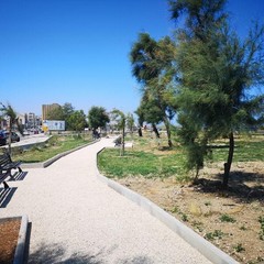 inaugurazione giardino pane e pomodoro