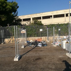 isole ecologiche nel moi