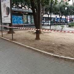 chiusura piazze e giardini