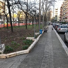 lavori giardino viale kennedy