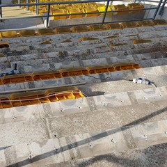 sostituzione seggiolini tribuna est