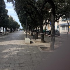 chiusura piazze e giardini