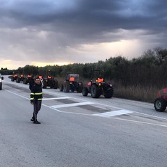 la protesta dei gilet arancioni