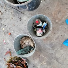 amiu analisi organico