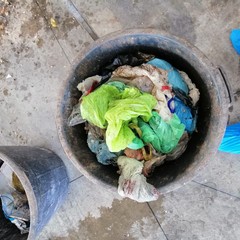 amiu analisi organico