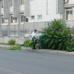 interventi di sfalcio erbe infestanti Amiu inizia dalle aree adiacenti alle scuole