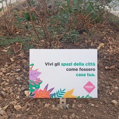 Nuovo volto per via Manzoni a Bari: 90 nuovi alberi, centinaia di essenze e fiori colorati