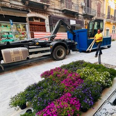 Nuovo volto per via Manzoni a Bari: 90 nuovi alberi, centinaia di essenze e fiori colorati