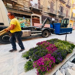 Nuovo volto per via Manzoni a Bari: 90 nuovi alberi, centinaia di essenze e fiori colorati
