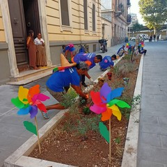 Nuovo volto per via Manzoni a Bari: 90 nuovi alberi, centinaia di essenze e fiori colorati
