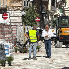 Nuovo volto per via Manzoni a Bari: 90 nuovi alberi, centinaia di essenze e fiori colorati