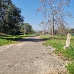 ex compendio Rai di Ceglie sopralluogo della vicesindaca dopo lavvio dellacquisizione larea diventer un grande parco urbano con il progetto Fiumi verdi foto
