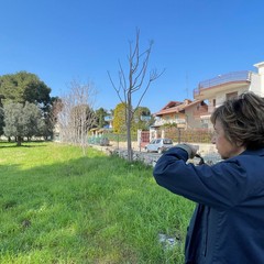 ex compendio Rai di Ceglie sopralluogo della vicesindaca dopo lavvio dellacquisizione larea diventer un grande parco urbano con il progetto Fiumi verdi foto