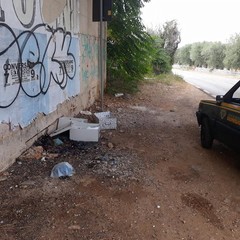 abbandono rifiuti conversano