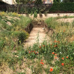 oggi il sopralluogo dellass galasso sul cantiere del giardino Manzari a Ceglie