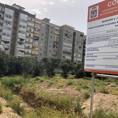 oggi il sopralluogo dellass galasso sul cantiere del giardino Manzari a Ceglie