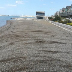 al via gli intereventi di manutenzione delle spiagge cittadine