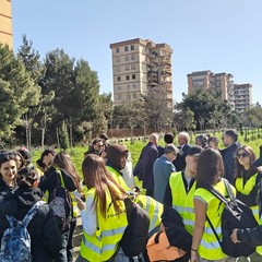 Bosco Urbano a Japigia