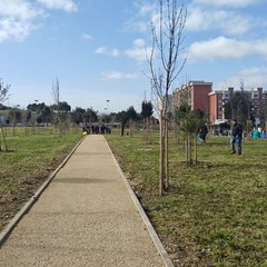 Bosco Urbano a Japigia