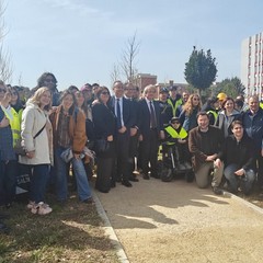 Bosco Urbano a Japigia