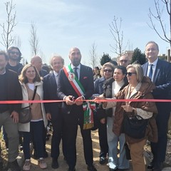 Bosco Urbano a Japigia