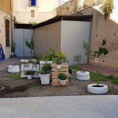 il nuovo cortile della scuola san nicola