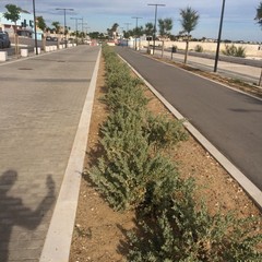 nuovo sopralluogo al waterfront di san girolamo per la scelta dei materiali